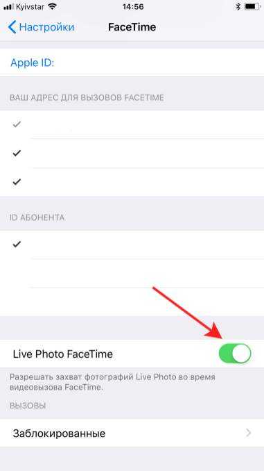 Как включить фото в фейс тайм
