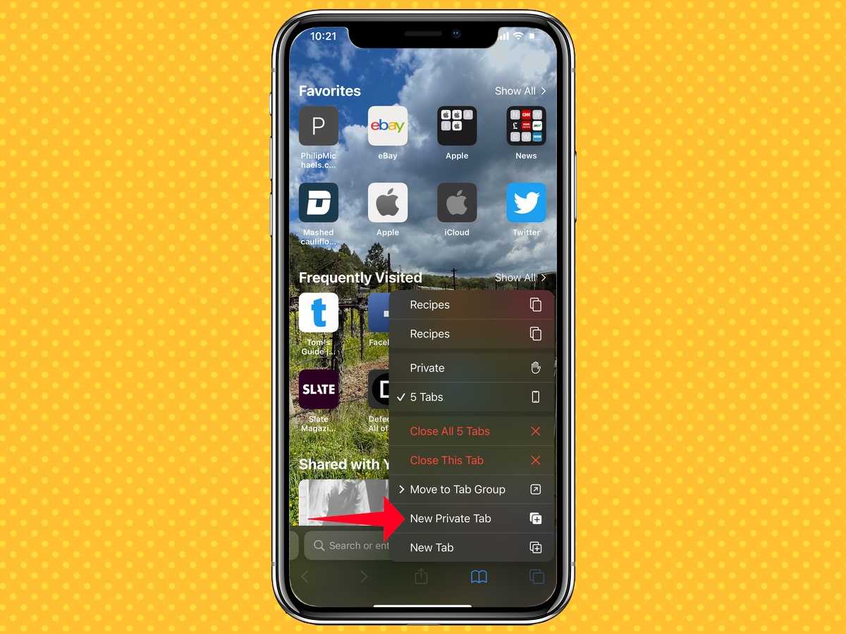 Приложение сафари на айфоне, что это — настройки safari на iphone