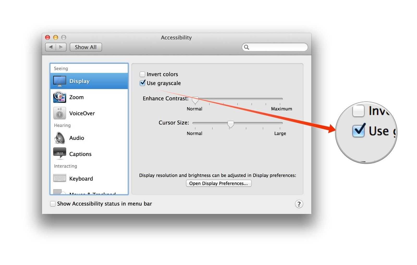 Видео с экрана мак. Запись экрана Mac. Запись экрана Мак ОС. Разрешение экрана Мак. Мак дисплей разрешение.