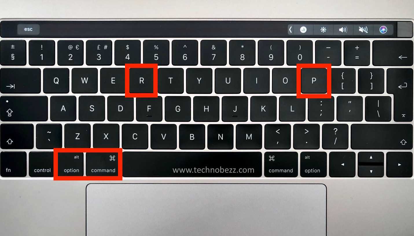 Apple mouse не работает, не подключается к windows 10 [quick fix] - toadmin.ru