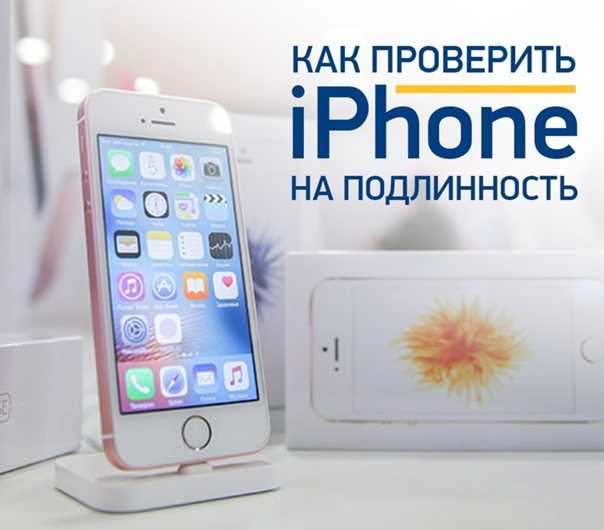Apple выпустит сверхдешевый iphone - cnews